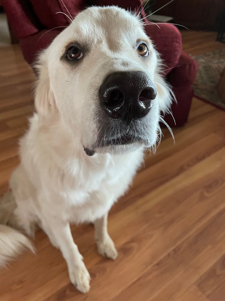 B9DAF6B9-5C95-4F54-BC29-C9FE6DA4DB1B